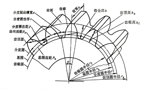 標準直齒輪外部結構圖.jpg